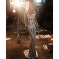 Silver Sequined Sprinkled Gold Banquet Evening Dress