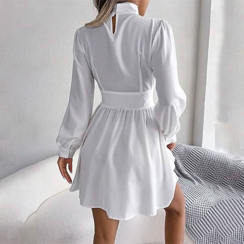 Women's A Line Turtleneck Mini Dress